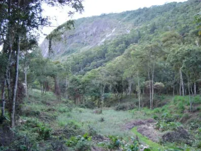 Lote/Terreno à venda, 44800m² no Itaipava, Petrópolis
