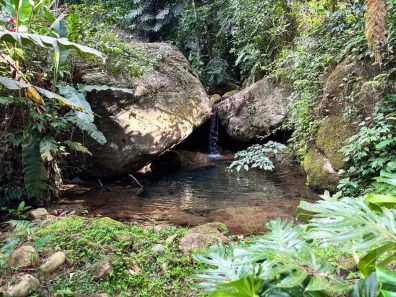 Casa com 3 Quartos à venda, 10000m² no Itaipava, Petrópolis