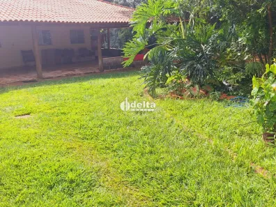 Fazenda/Sítio com 5 Quartos à venda, 510m² no Chácaras Eldorado, Uberlândia