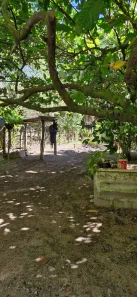 Casa com 1 Quarto à venda, 600m² no Arraial D'Ajuda, Porto Seguro