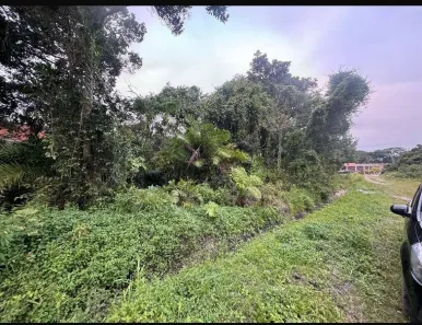 Lote/Terreno à venda, 250m² no Califórnia, Itanhaém