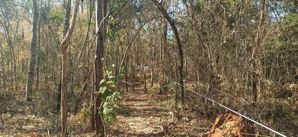 Lote/Terreno à venda, 20000m² no Centro, Jaboticatubas