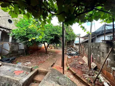 Casa com 3 Quartos à venda, 77m² no Vila São Pedro, Americana