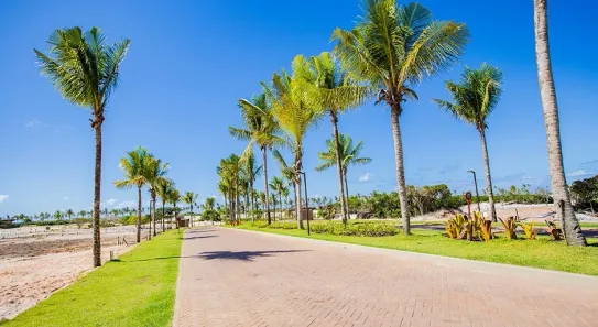 Lote/Terreno à venda, 455m² no Amado Bahia, Mata de São João