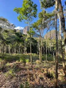 Lote/Terreno à venda, 10000m² no Araras, Petrópolis