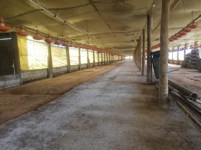 Fazenda/Sítio com 3 Quartos à venda, 48400m² no Centro, Itapetininga