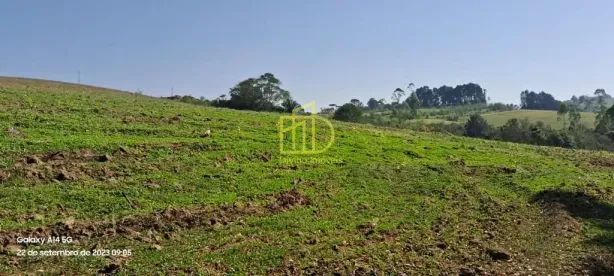 Fazenda/Sítio com 3 Quartos à venda, 10m² no Vila Sao Joao, São Miguel Arcanjo
