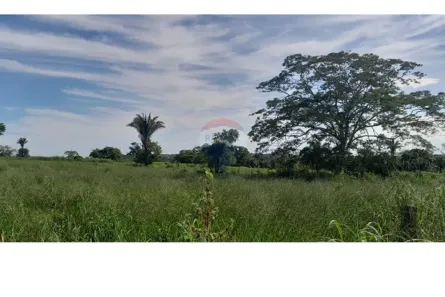 Fazenda/Sítio à venda, 15444m² no Jardim Royal Boulevard do Cerrado, Rondonópolis