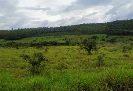 Fazenda/Sítio à venda, 20000m² no , Itatiaiuçu