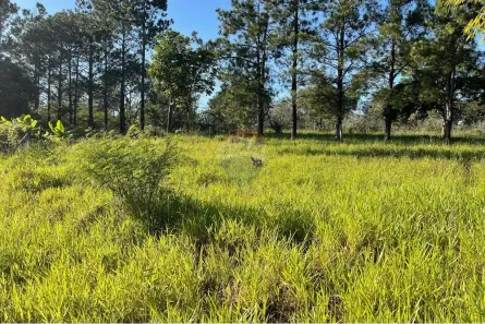 Lote/Terreno à venda, 1282m² no , Bragança Paulista