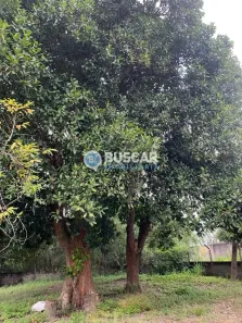 Fazenda/Sítio com 2 Quartos à venda, 4m² no SIM, Feira de Santana
