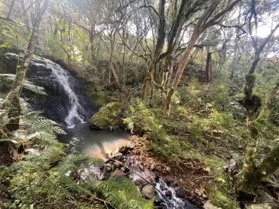 Fazenda/Sítio com 1 Quarto à venda, 240000m² no , Urubici