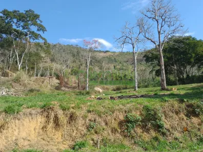Lote/Terreno à venda, 83624m² no Pedro do Rio, Petrópolis