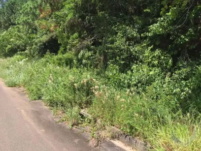 Lote/Terreno à venda, 722m² no Itacorubi, Florianópolis