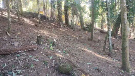 Lote/Terreno à venda, 1259m² no Sertão da Quina, Ubatuba