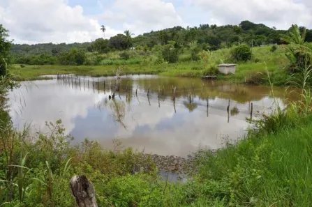 Fazenda/Sítio com 5 Quartos à venda, 16000m² no , Conde