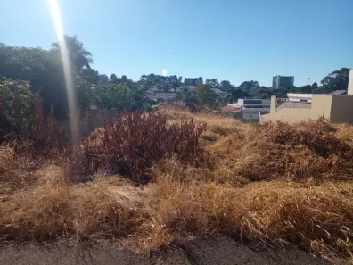 Lote/Terreno à venda, 360m² no Jardim Maria Martha, Marília