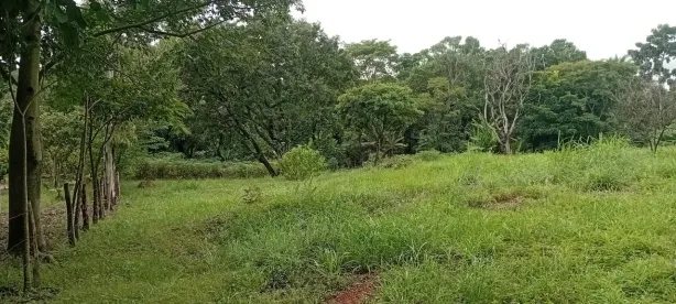 Lote/Terreno à venda, 2500m² no Park Way, Brasília