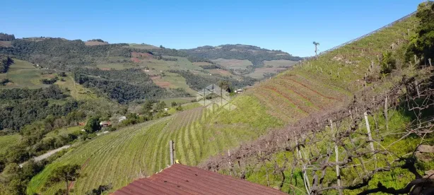 Lote/Terreno à venda, 64270m² no Interior, Monte Belo do Sul