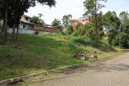 Lote/Terreno à venda, 452m² no Ratones, Florianópolis