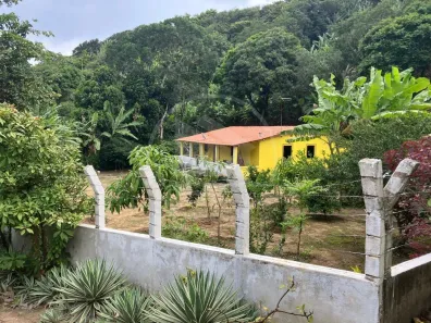 Fazenda/Sítio com 3 Quartos à venda, 200m² no Catolé, Mulungu