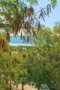 Lote/Terreno à venda, 450m² no Piratininga, Niterói