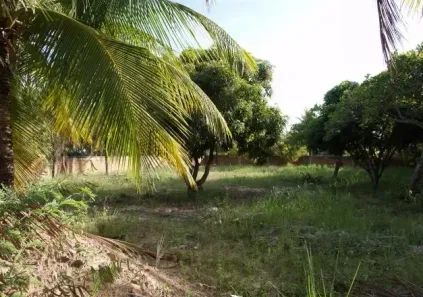 Lote/Terreno à venda, 450m² no , Paripueira