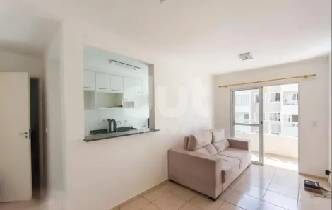 Apartamento com 3 Quartos à venda, 64m² no Jardim Nova Europa, Campinas