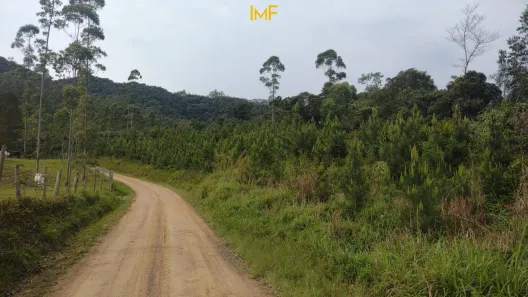 Lote/Terreno à venda, 29147m² no Barra São João, Benedito Novo