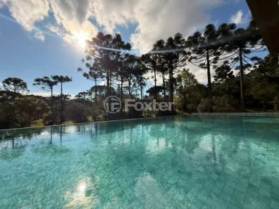 Lote/Terreno à venda, 420m² no Centro, São Francisco de Paula