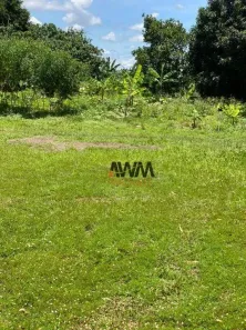 Fazenda/Sítio à venda, 11500000m² no Zona Rural, Natividade