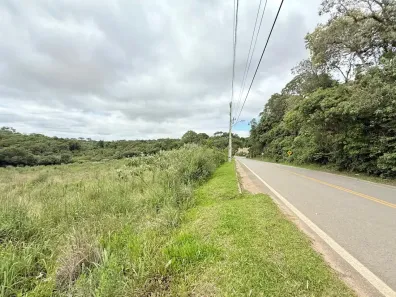 Fazenda/Sítio à venda, 13310m² no Área Rural de Araucária, Araucária