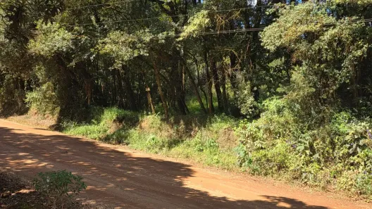 Lote/Terreno à venda, 362m² no Campo Novo, Campo Magro