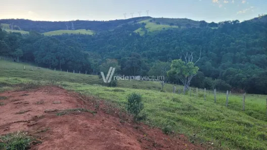 Lote/Terreno à venda, 20000m² no , Jacutinga