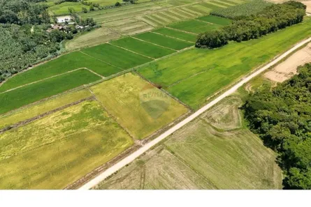 Fazenda/Sítio com 1 Quarto à venda, 20527m² no Tiroleses, Timbó