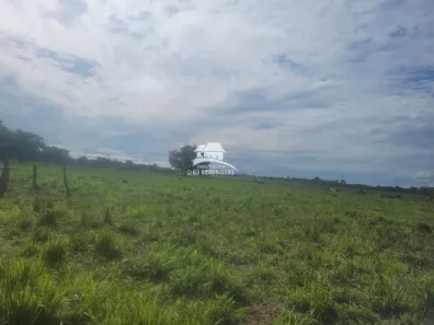 Fazenda/Sítio à venda, 16690000m² no , Pequizeiro