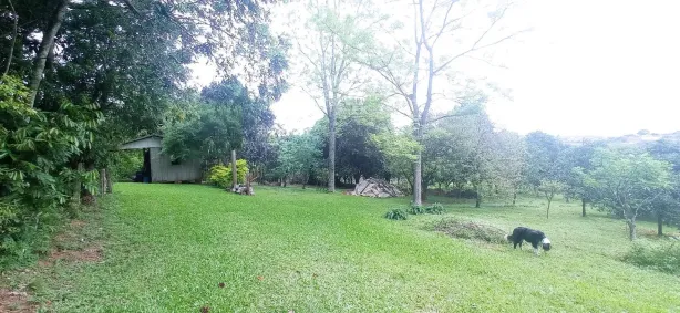 Lote/Terreno à venda, 13621m² no Campestre, São Leopoldo