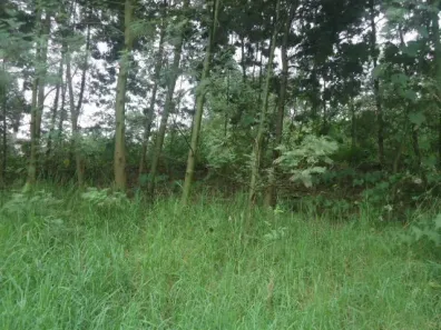 Lote/Terreno à venda no Nossa Senhora de Lourdes, Caxias do Sul
