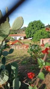 Fazenda/Sítio com 2 Quartos à venda, 100m² no Serra Verde, São Pedro