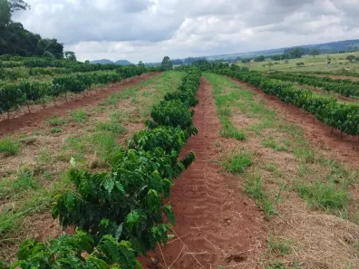 Fazenda/Sítio com 1 Quarto à venda, 217800m² no , Cássia dos Coqueiros