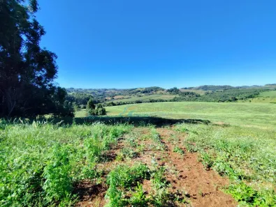 Fazenda/Sítio com 3 Quartos à venda, 907500m² no Loteamento Bertuol, Guaraniaçu