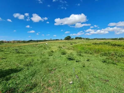  com 3 Quartos à venda, 1258000m² no Fazendinha, Araruama