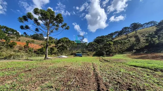 Fazenda/Sítio à venda, 1m² no , Delfim Moreira