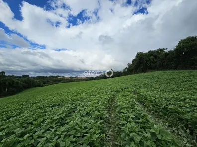 Lote/Terreno à venda, 36300m² no Estação, Araucária