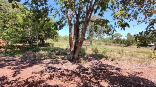 Fazenda/Sítio com 1 Quarto à venda, 15000m² no Centro-Sul, Várzea Grande