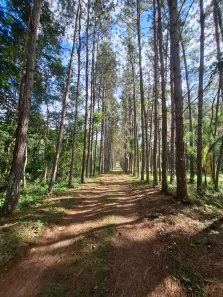com 3 Quartos à venda, 700m² no Jaguari, Santa Isabel