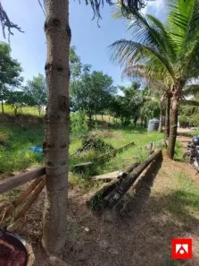 Fazenda/Sítio à venda, 3500m² no Jardim Canaã, Limeira