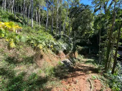 Lote/Terreno à venda, 4200m² no Carlos Guinle, Teresópolis