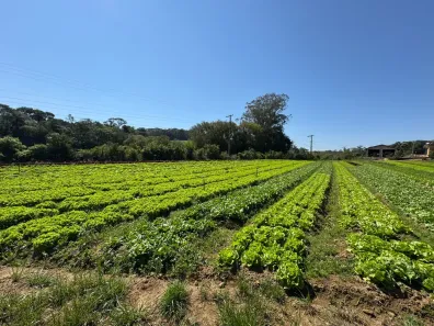 Lote/Terreno à venda, 2550m² no Sorocabucu, Ibiúna