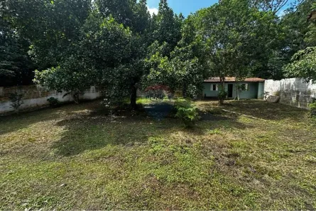 Fazenda/Sítio com 10 Quartos à venda, 380m² no Raminho, Itanhaém